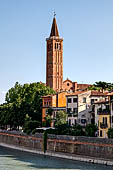 Verona - Il campanile di Sant'Anastasia. 